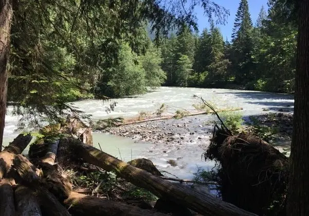 Mt. Baker Lodging Cabin 98 - Hot Tub, Pets, Sleeps 6! by MBL - Genel