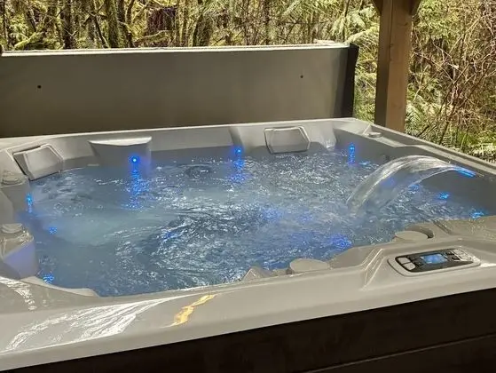 Mt. Baker Lodging Cabin 98 - Hot Tub, Pets, Sleeps 6! by MBL - Öne Çıkan Resim