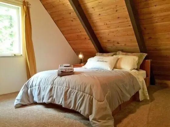 Mt Baker Lodging Cabin 99 - Sleeps 6 - Oda