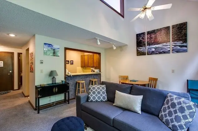 Mt Baker Lodging Condo 14 - FRPL, WIFI, SLEEPS-6! by MBL - Öne Çıkan Resim