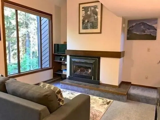 Mt Baker Lodging Condo 14 - Sleeps 6 - Oda