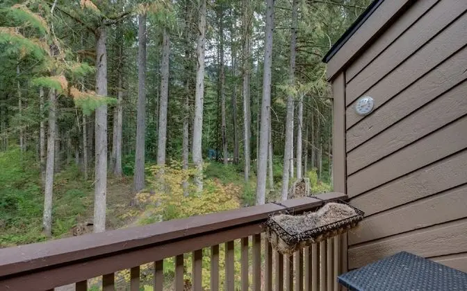 Mt Baker Lodging Condo 23 - LUXURIOUS, SLEEPS 4! by MBL