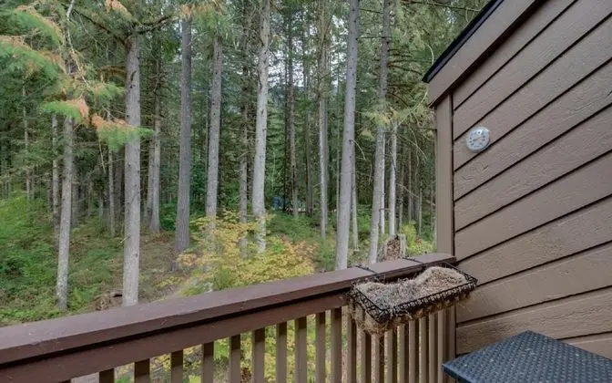 Mt Baker Lodging Condo 23 - Sleeps 4