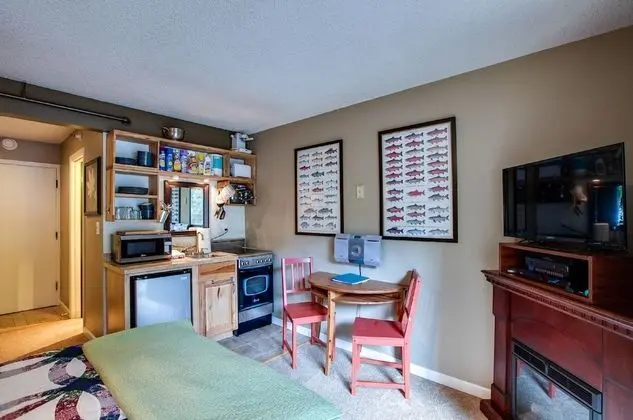 Mt. Baker Lodging Condo 37 – WiFi, Sleeps 2! by MBL - Oda