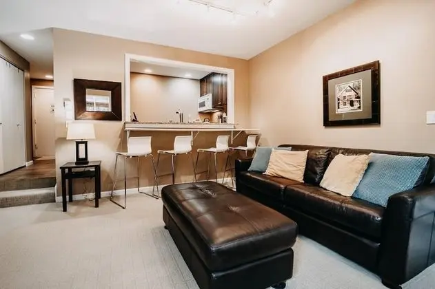 Mt Baker Lodging Condo 50 - Sleeps 4 - Oda