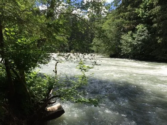 Mt. Baker Lodging Condo 59 – FRPL, W/D, Sleeps 6! by MBL - Dış Mekan