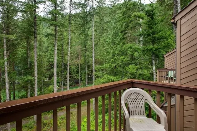 Mt Baker Lodging Condo 85 – FRPL, W/D, DW, SLEEPS-4! by MBL