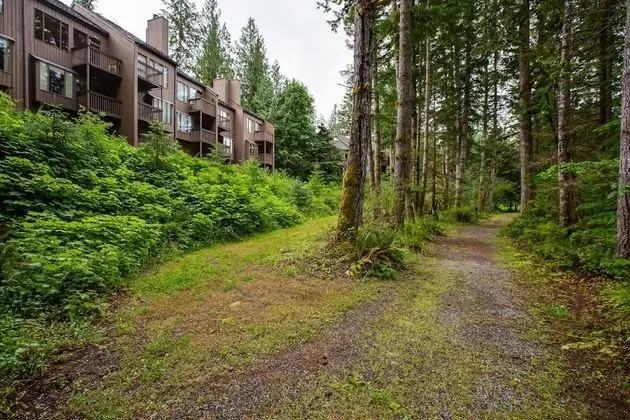 Mt Baker Lodging Condo 85 – FRPL, W/D, DW, SLEEPS-4! by MBL - Dış Mekan