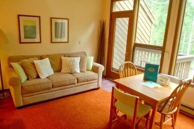 Mt Baker Lodging Condo 85 - Sleeps 4 - Oda