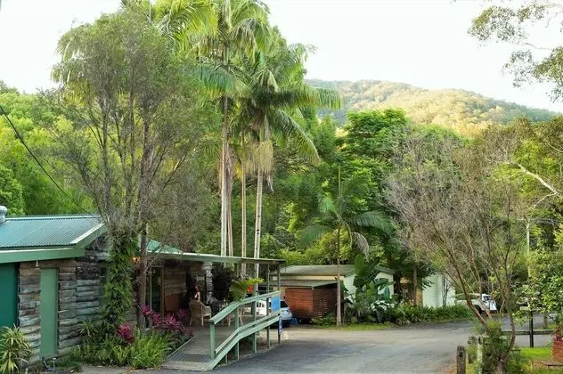 Mt Warning Rainforest Park - Lobi
