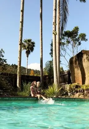 Mt Warning Rainforest Park - Öne Çıkan Resim