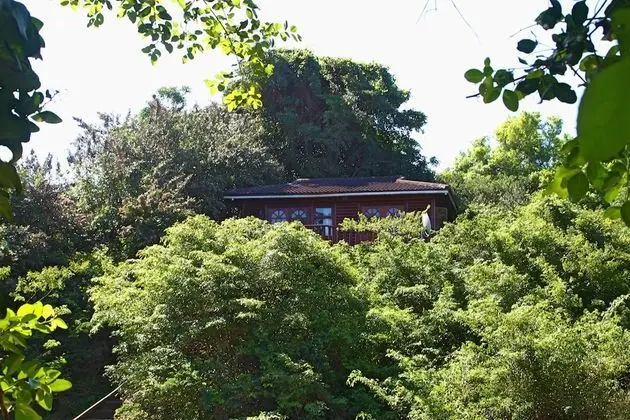Mtunzini Forest Lodge Self Catering - Dış Mekan
