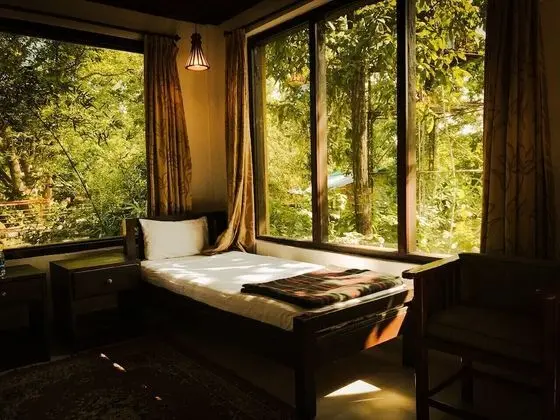 Muba Jungle Camp - 1