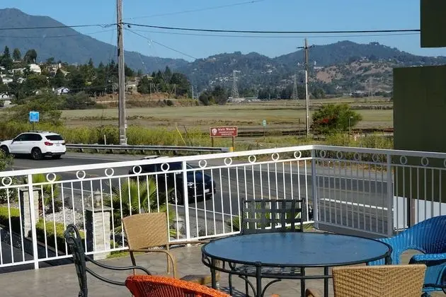 Muir Woods Lodge - Oda Düzeni