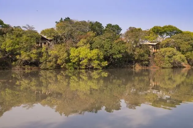 Mukambi Fig Tree Bush Camp – All Inclusive - Dış Mekan