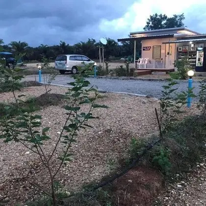 Mulberry Resort