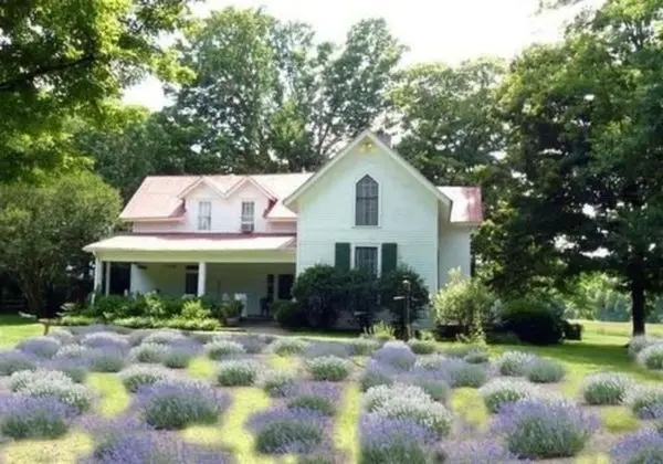 Mulberry Lavender Farm and B&B - Dış Mekan