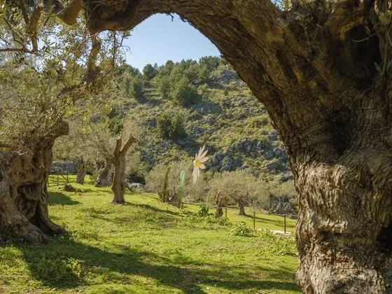 Muleta de Ca S'Hereu - Dış Mekan