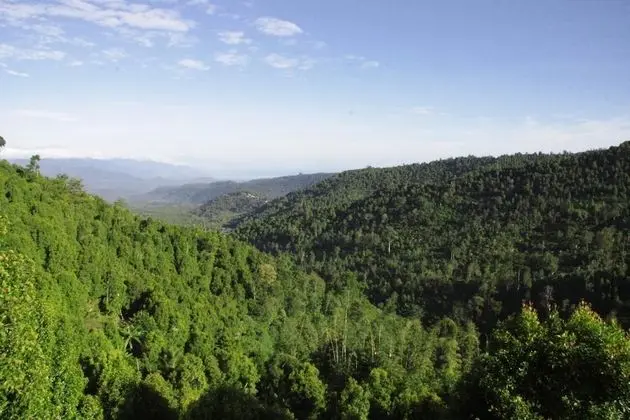 Munduk Sari Garden Villa - Dış Mekan
