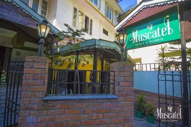 Muscatel Delamere Central