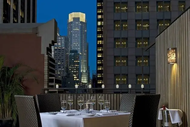 The MUSE New York
