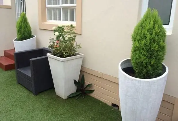 Musgrave Avenue Guest Lodge - Dış Mekan
