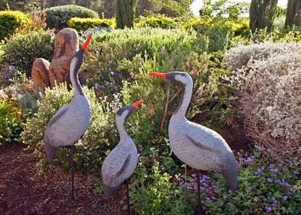 Musical Garden Cabins - Dış Mekan