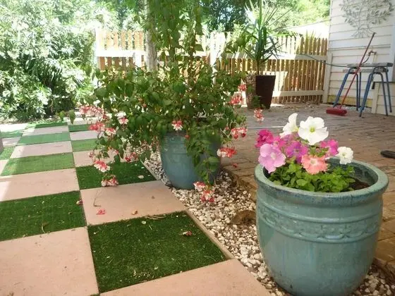 Must Love Dogs B&b - Dış Mekan