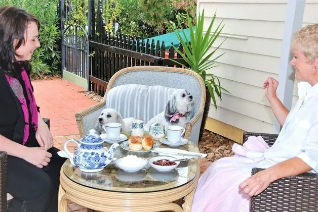 Must Love Dogs B&b - Yerinde Yemek