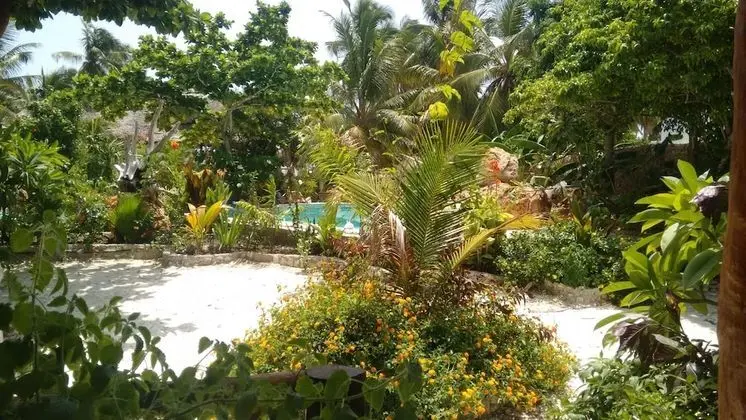 Mustapha's Place - Dış Mekan