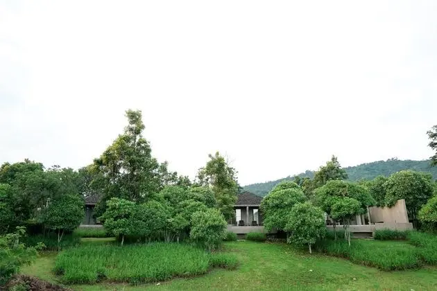Muthi Maya Forest Pool Villa Resort - Dış Mekan
