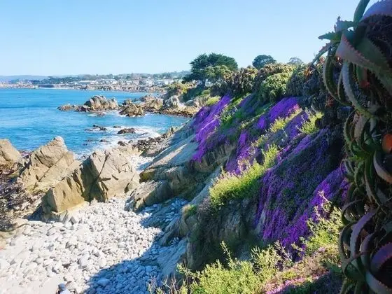 Mv6: Lover's Point Mermaid Cottage - Plaj