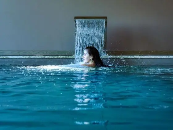MW Douro Wine & Spa - Havuz