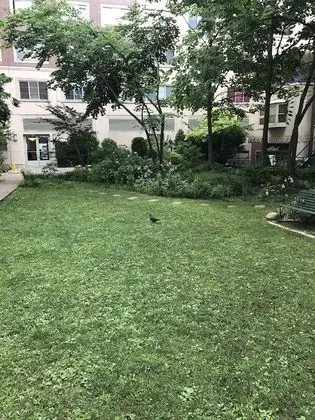 My Favorite Place-NYC-Shared Apartment - Oda Manzaraları
