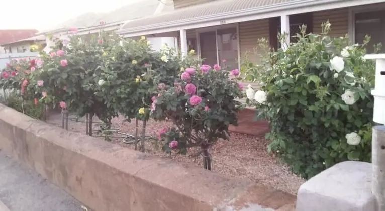My Nanna's Place - Dış Mekanlar