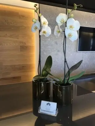 MyHome 75 - Lobi