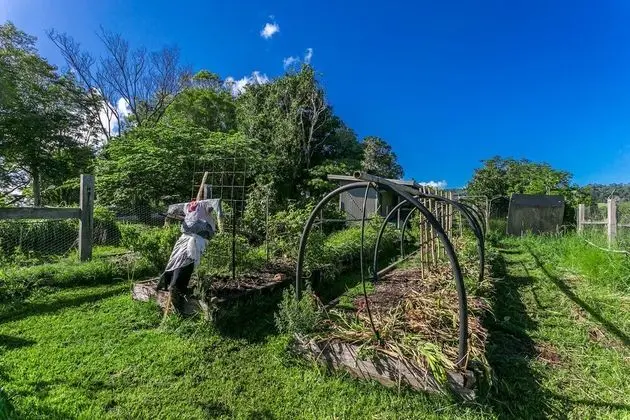 Myocum House - spacious hinterland farmhouse - Dış Mekan