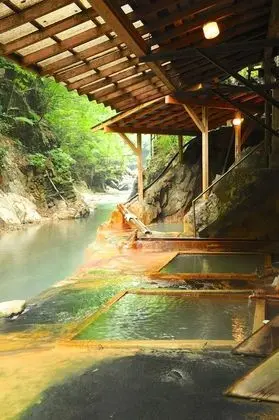 Myogaya Honkan - Ryokan Tesisleri