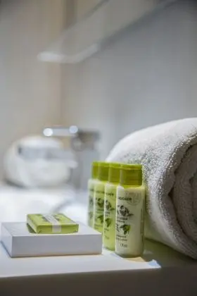 Myr Plaza Mercado & Spa - Oda