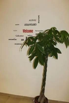 MyRoom CenterStation - İç Mekan
