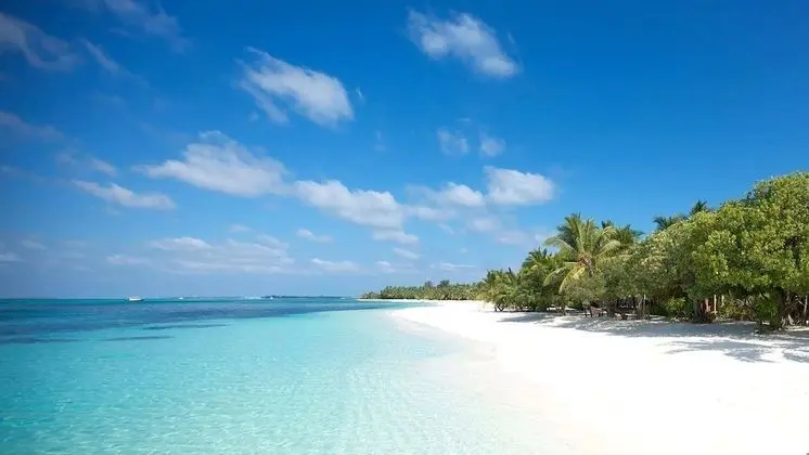 Myrtle Boutique Hotel - Plaj
