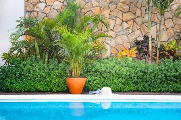 Naboo Resort & Dive Center - Adults Only - Dış Mekan