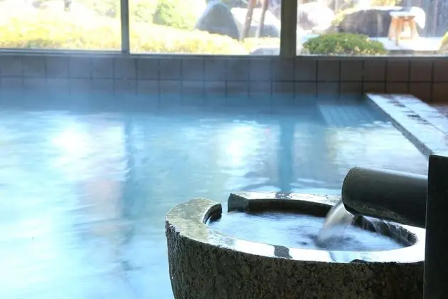 Nagano hirugami hot spring Hirugami-no-Mori - Havuz