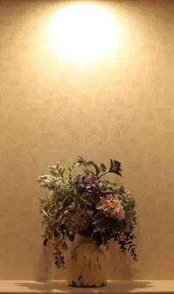 Nagomi Hotel Nippori - İç Mekan