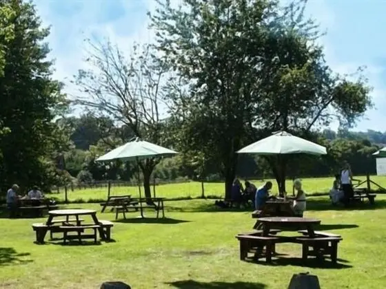 The Nags Head - Dış Mekan