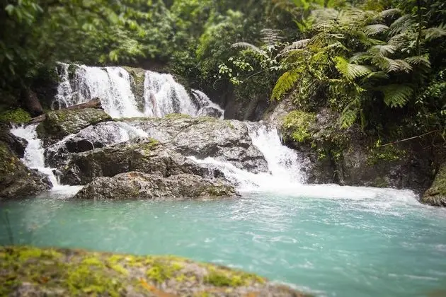 Naguala Jungle Lodge - Öne Çıkan Resim