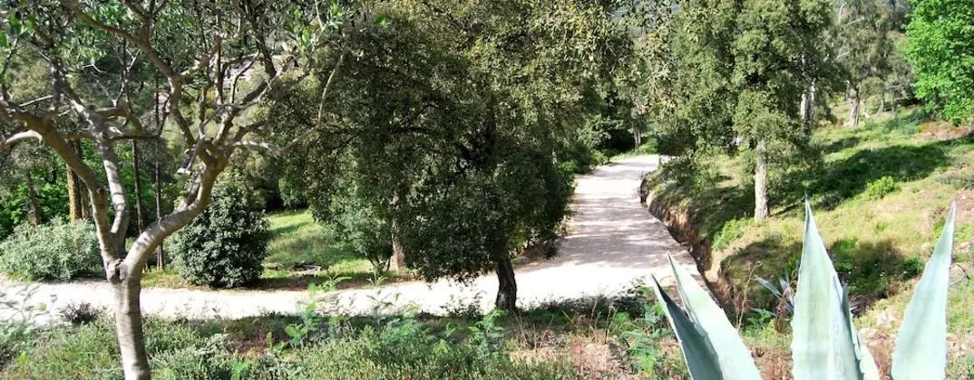 Villa Nais - Dış Mekan