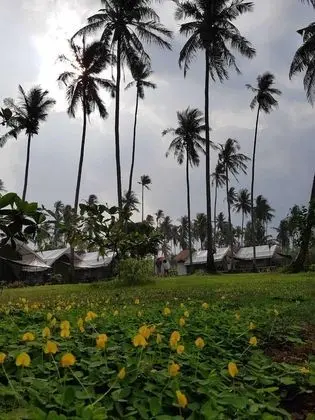 Naivacha Tent Koh Mak - Dış Mekan