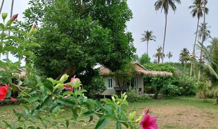 Naivacha Tent Koh Mak - Dış Mekan