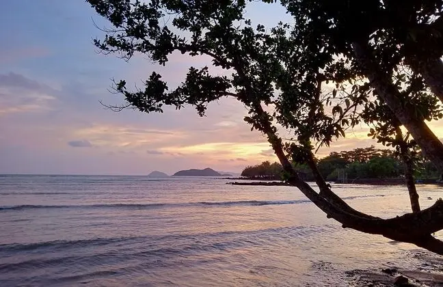 Naivacha Tent Koh Mak - Plaj